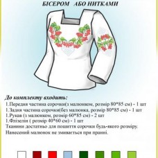 Заготівля для вишиванки (жіноча сорочка) БЖ 001