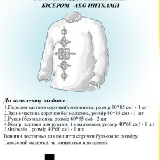 Заготівля для вишиванки (чоловіча сорочка) ЧС 020